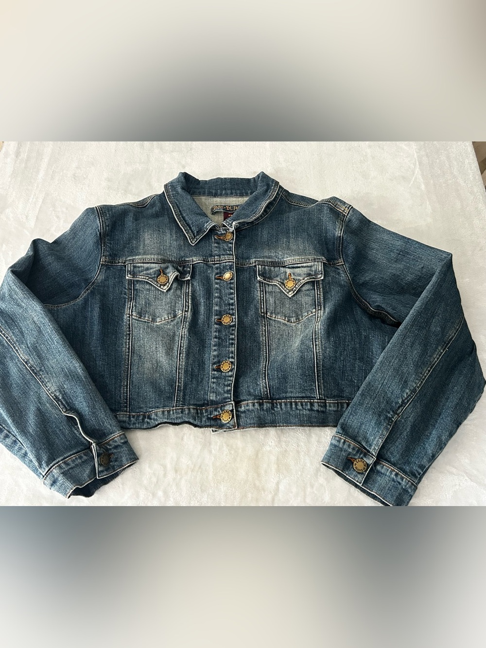 Vintage Zana Di Cropped Denim Women’s Jean Jacket Size 26 (3X)